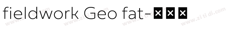 fieldwork Geo fat字体转换